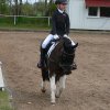Reitertag 2026 April